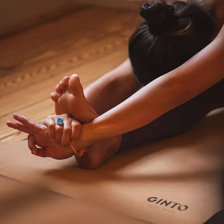 Saint Julien 3* بياريتز